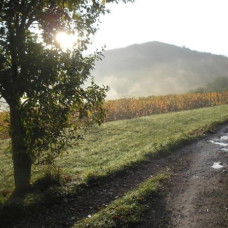 Grange Renovee En Pleine Nature Valady Экстерьер фото