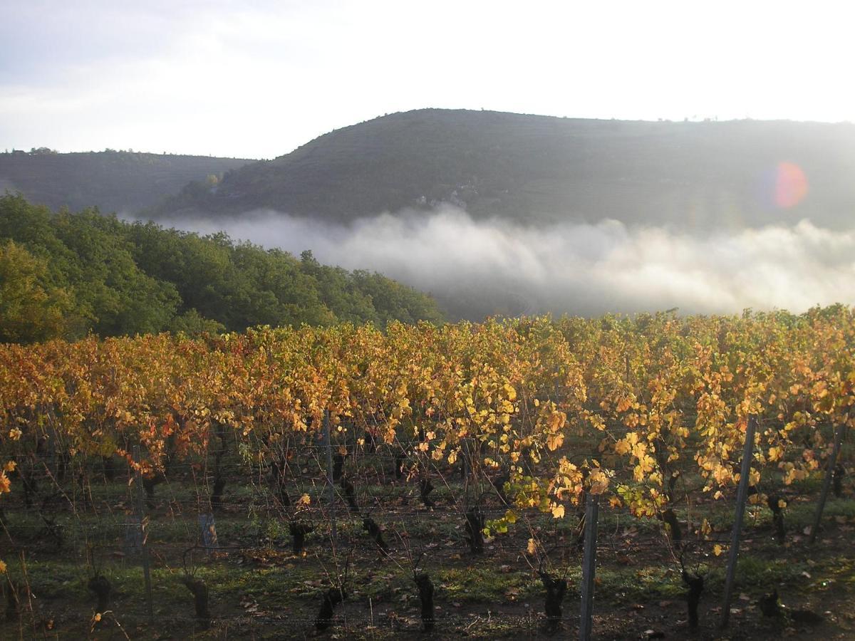 Grange Renovee En Pleine Nature Valady Экстерьер фото