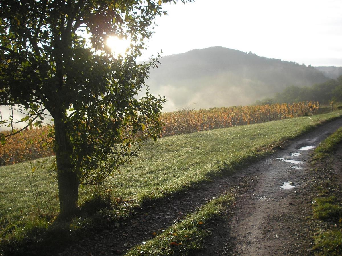 Grange Renovee En Pleine Nature Valady Экстерьер фото